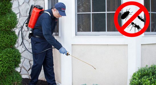 Seyrekköy Gümüşkurt İlaçlama böcek ilaçlama ve haşere kontrolü — ilaclama-tr.com